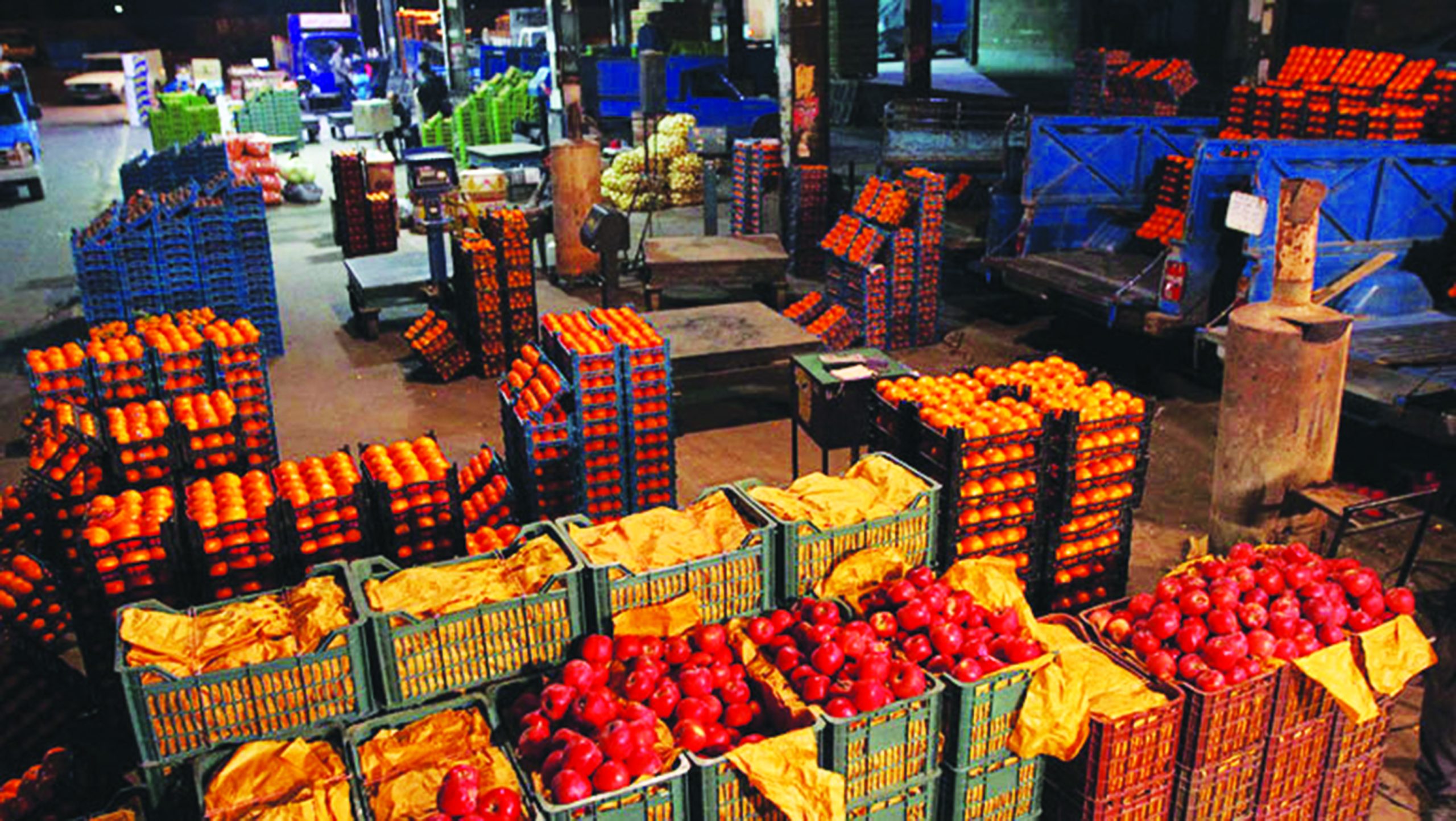 سیب و پرتقال شب عید آذربایجان شرقی تامین شد