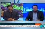 اعلام قیمت سیب و پرتقال شب عید در آذربایجان شرقی