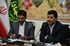 توزیع ۲۰۰۰ تن مرغ منجمد برای تنظیم بازار آذربایجان شرقی