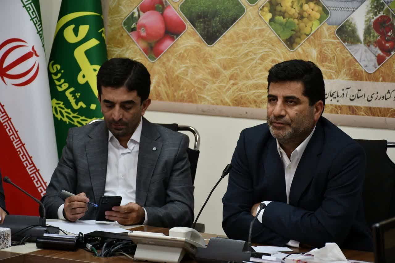 توزیع ۲۰۰۰ تن مرغ منجمد برای تنظیم بازار آذربایجان شرقی