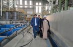 پروژه «هیپ لیچینگ» افتتاح می شود