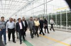 فعالیت بزرگ ترين گلخانه مدرن خاورميانه در شهرستان جلفا