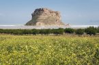 صرفه جویی ۴۰ درصدی آب در حوضه دریاچه ارومیه