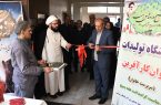 نمایشگاه محصولات تولیدی بانوان سرپرست خانوار در سازمان جهاد کشاورزی آذربایجان شرقی