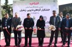 حضور پررنگ سازمان جهادکشاورزی آذربایجان شرقی در نمایشگاه بین‌المللی خشکبار، گیاهان دارویی و زعفران