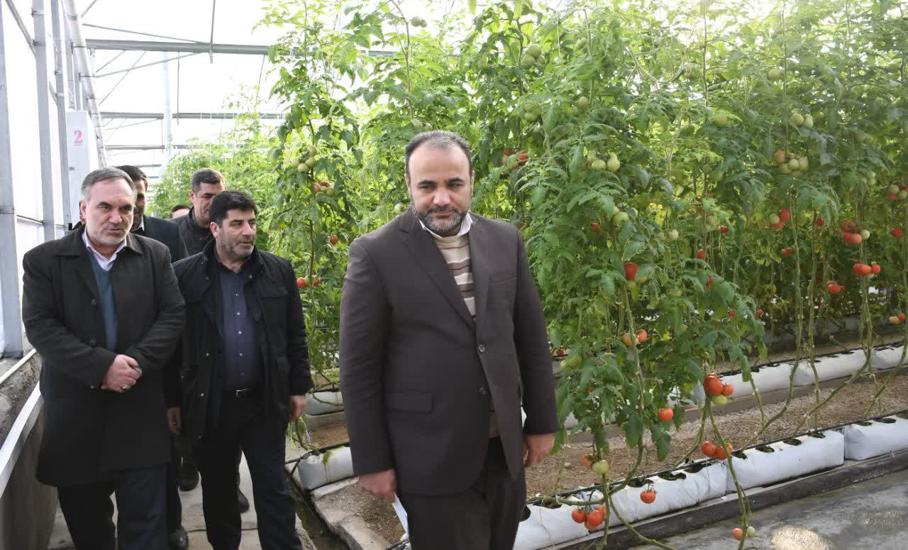 بهره برداری کامل از شهرک گلخانه ای عجبشیر