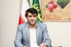 هشترود؛ رتبه نخست صدور سند برای اراضی زراعی و باغی