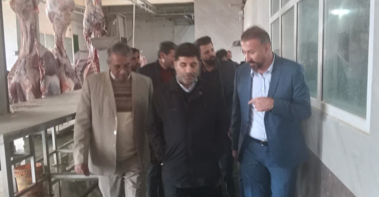 افتتاح کشتارگاه صنعتی دام سنگین در میانه