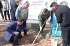کاشت ۷۰۰۰ اصله نهال در مراغه