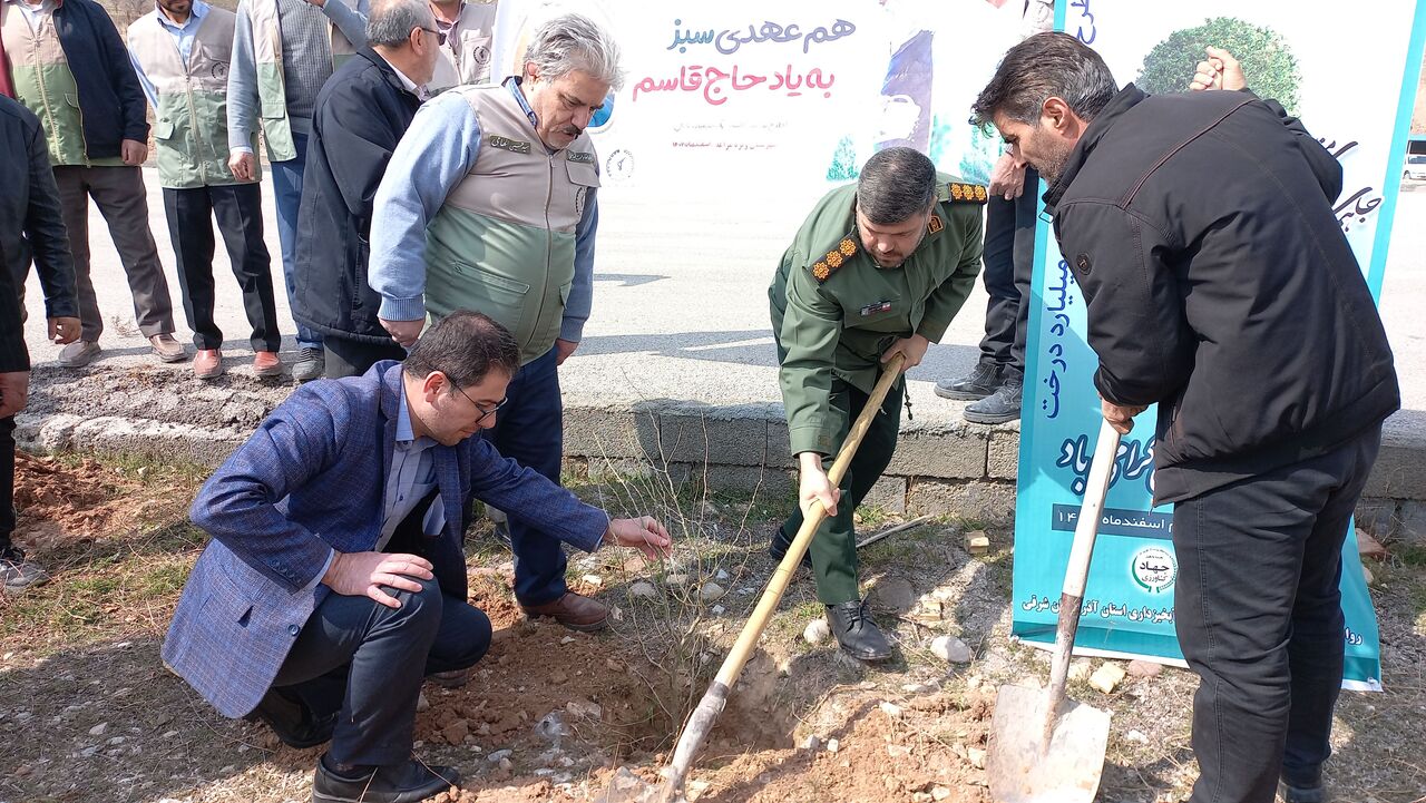 کاشت ۷۰۰۰ اصله نهال در مراغه