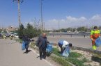 پاکسازی اتوبان کسایی تبریز از زباله‌های پلاستیکی