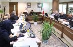 اهتمام ویژه شرکت ملی صنایع مس ایران برای تحقق برنامه تولید یک میلیون تن کاتد