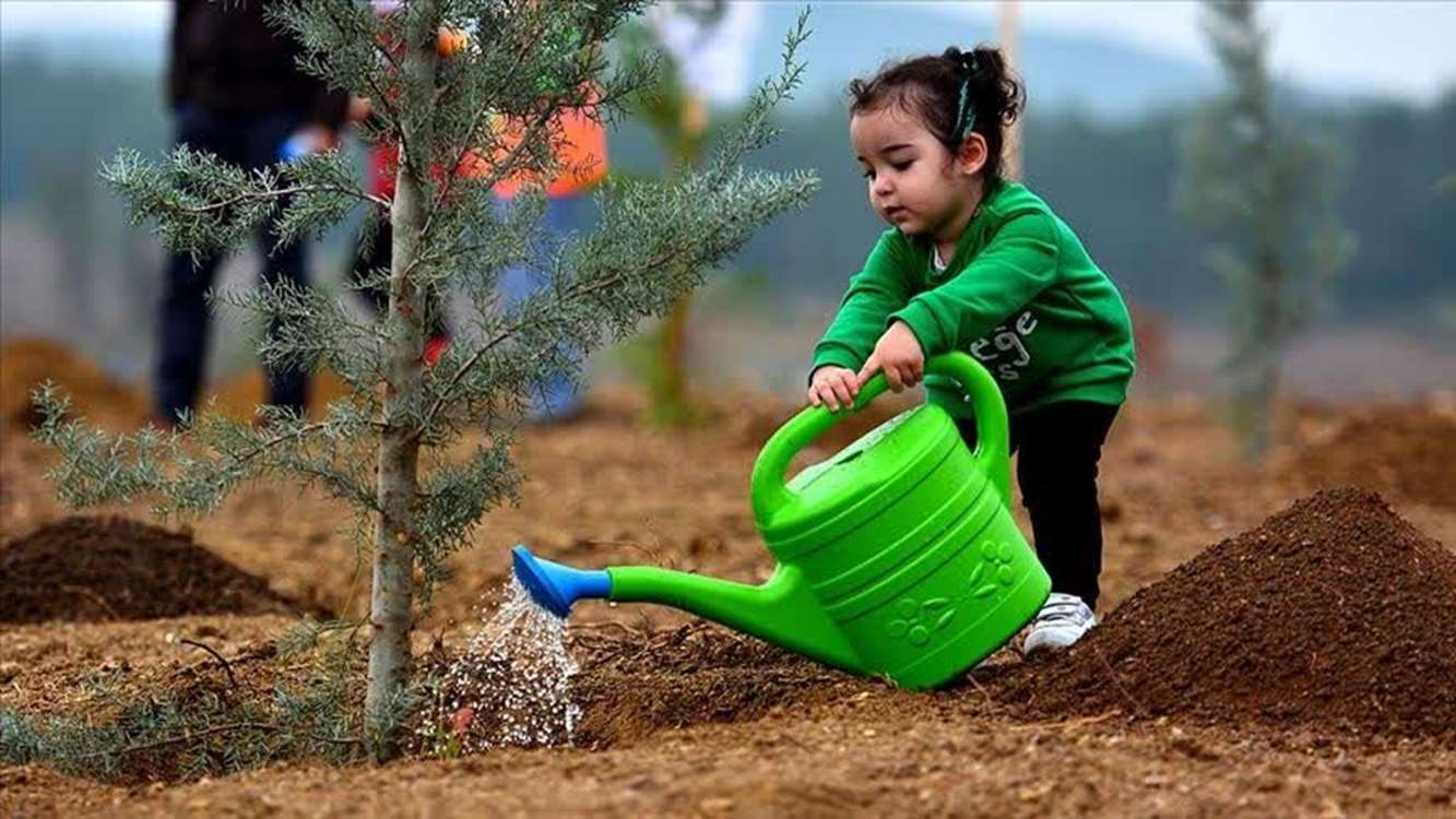 جلوگیری از پدیده تغییر اقلیم؛ هدف طرح مردمی کاشت یک میلیارد درخت