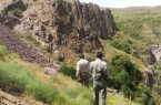 ضرب و جرح رئیس اداره محیط زیست و محیط بانان میانه توسط شکارچیان