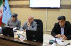 فلسفه تصویب طرح هادی، توسعه اصولی روستاست