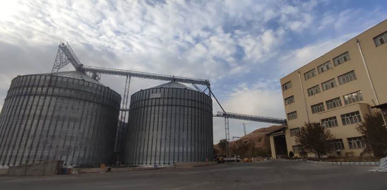 هشترود؛ قطب تولید گندم در آذربایجان شرقی