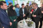 تقدیر رییس سازمان حفاظت محیط‌زیست کشور از اقدامات ارزنده زیست‌محیطی شرکت پتروشیمی تبریز