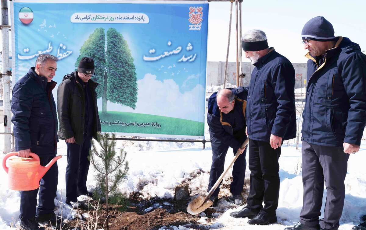مجتمع مس سونگون پروژه جنگل‌کاری حاشیه بزرگراه خواجه – ورزقان را کلید زد