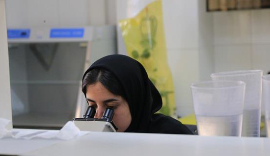 آذربایجان شرقی پیشتاز پایش کیفی در کشور