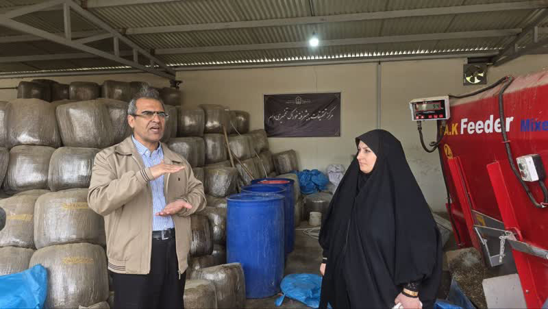 تقویت زیست‌بوم نوآوری در مراغه
