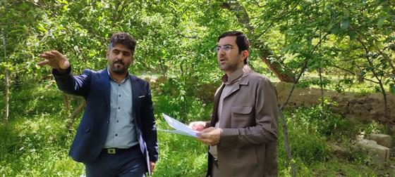 بازدید رئیس اداره اوقاف اسکو از وضعیت رقبات‌ باغی و آبی موقوفات شهرستان