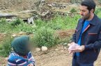 توزیع گوشت قربانی به مناسبت عید قربان