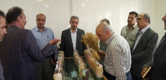 افزایش همکاری‌های علمی، پژوهشی و فناوری مؤسسه دیم با دانشگاه تبریز