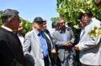خداآفرین؛ قطب کشاورزی و شیلات شمال‌غرب کشور