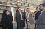 بازدید معاون وزیر نفت از شرکت دانش‌بنیان «رهروان صنعت و انرژی آسیا» در تبریز