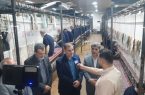 افتتاح شرکت تعاونی قالیبافی «نه‌هزار و نه‌آلیتین قالی» در تبریز