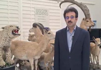 فرهنگ حفاظت از محیط زیست در مراغه جا افتاده است