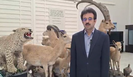 فرهنگ حفاظت از محیط زیست در مراغه جا افتاده است