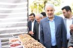 ایجاد دبیرخانه دائمی جشنواره بادام خسروشاه برای برندسازی