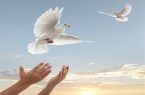 تصمیم نوجوان تبریزی برای آزادی زندانیان غیرعمد تا آخر عمر! تصمیم نوجوان تبریزی برای آزادی زندانیان غیرعمد تا آخر عمر!