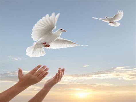 تصمیم نوجوان تبریزی برای آزادی زندانیان غیرعمد تا آخر عمر!