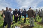 هم‌افزایی «محیط زیست» و «منابع طبیعی»؛ کلید طلایی عبور از چالش‌های زیست‌محیطی