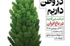 «درخت میکاریم در باغ ایران»؛ اینبار در سونگون «درخت میکاریم در باغ ایران»؛ اینبار در سونگون