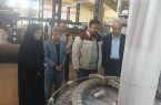 حمایت از فناوری‌های سبز؛ اولویت اصلی محیط زیست استان