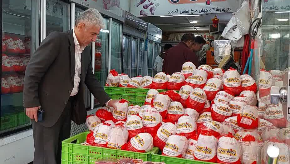 قیمت مرغ در تبریز؛ رو به کاهش