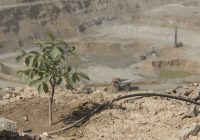 مسیر سبز مس ایران برای تأمین پایدار انرژی