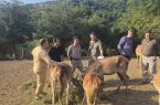 ارسباران در آستانه بازگشت مارال