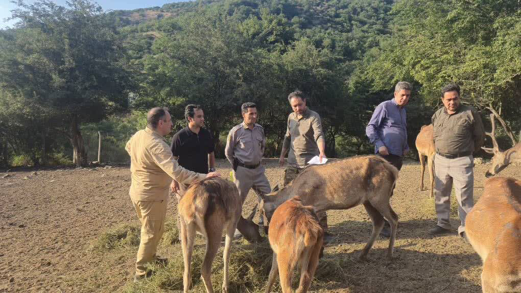 ارسباران در آستانه بازگشت مارال