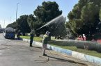 تداوم سمپاشی درختان سطح شهر تبریز