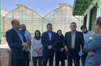 ۵۰۰ مگاوات برق نیروگاه‌های تجدیدپذیر آذربایجان شرقی به زودی وارد مدار می‌شود