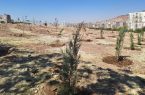 آغاز کاشت سایت ستاد بحران تبریز در راستای توسعه ۶۰۰ هکتاری فضای سبز