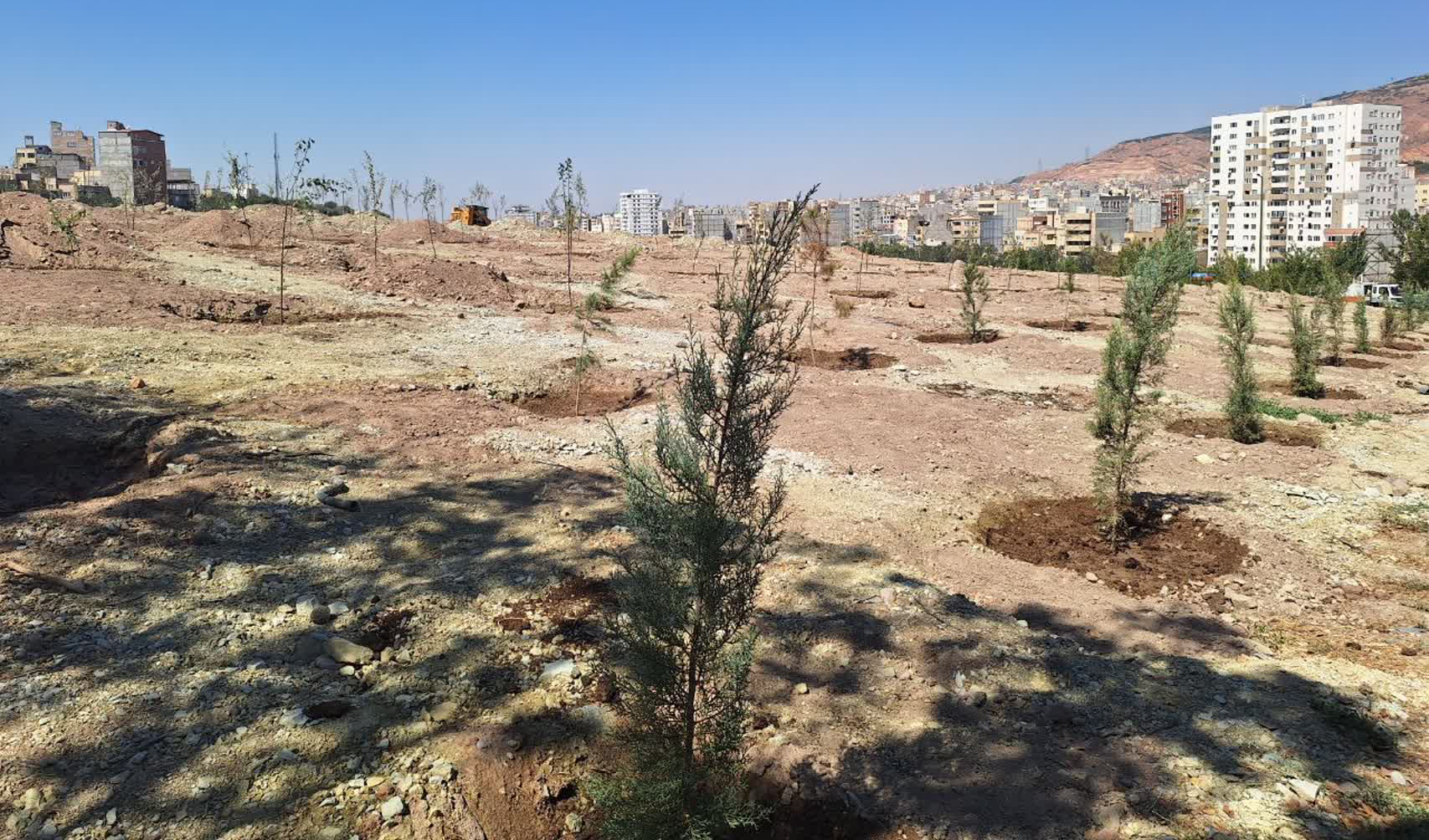 آغاز کاشت سایت ستاد بحران تبریز در راستای توسعه ۶۰۰ هکتاری فضای سبز