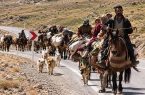 عشایر کلیبر و خداآفرین کوچ به مناطق قشلاقی را تسریع کنند