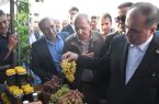 آذربایجان شرقی؛ قطب‌ مهم تولید انگور کشور