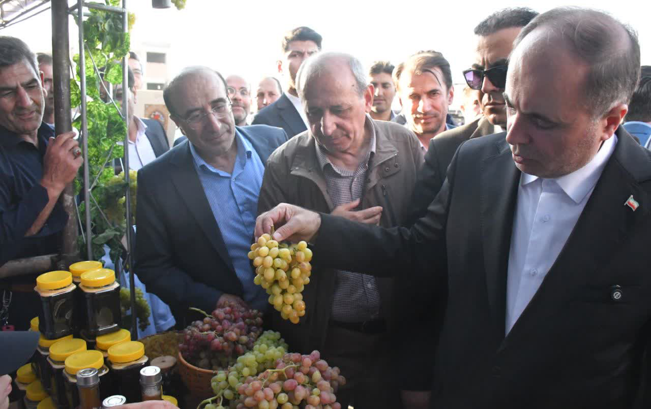 آذربایجان شرقی؛ قطب‌ مهم تولید انگور کشور