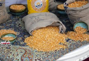 گزارش تصویری  اختتامیه سومین جشنواره ملی لپه و خشکبار آذرشهر